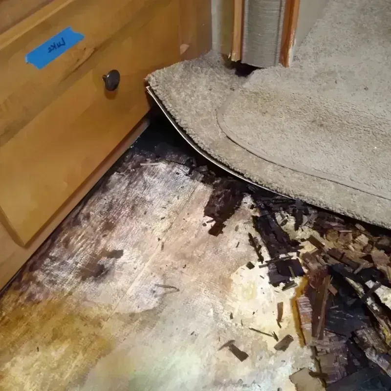 Wood Floor Water Damage in Homestead Meadows North, TX